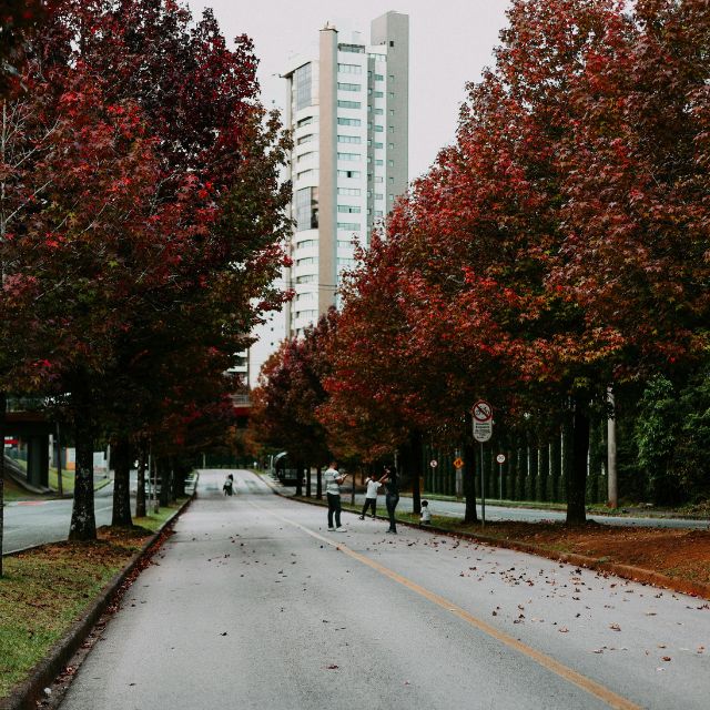 curitiba (5)