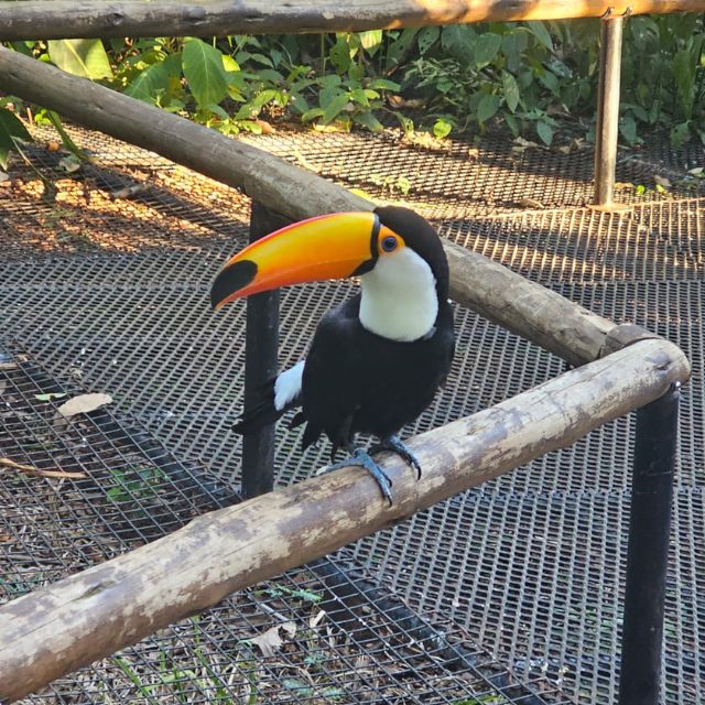 foz do iguaçu (10)