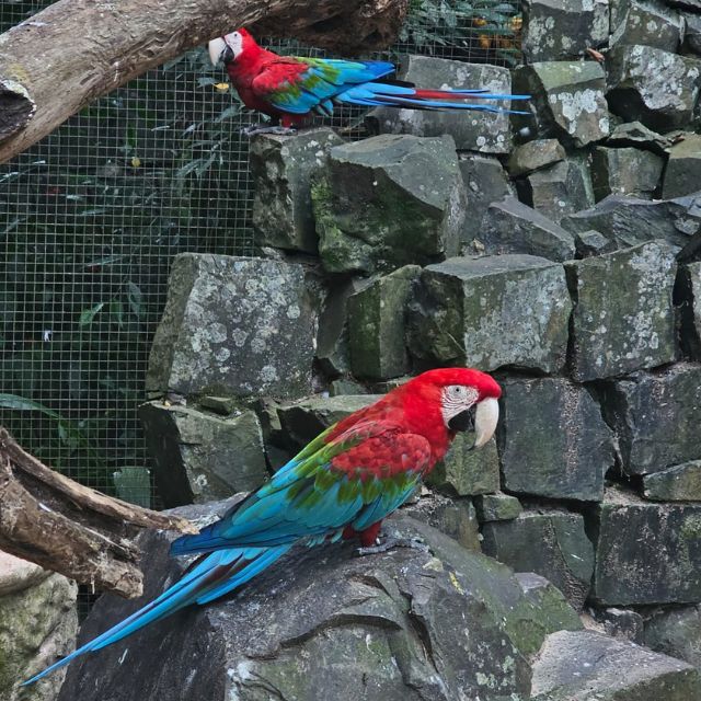 foz do iguaçu (12)