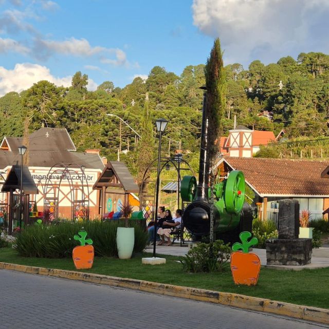 monte_verde_img (1)